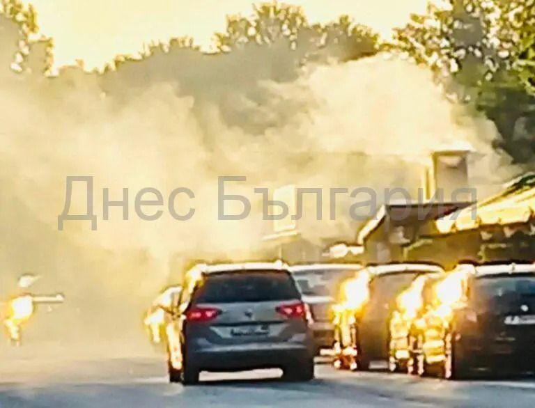 Всички в Слънчев бряг ревнаха срещу това заведение, ето защо СНИМКИ