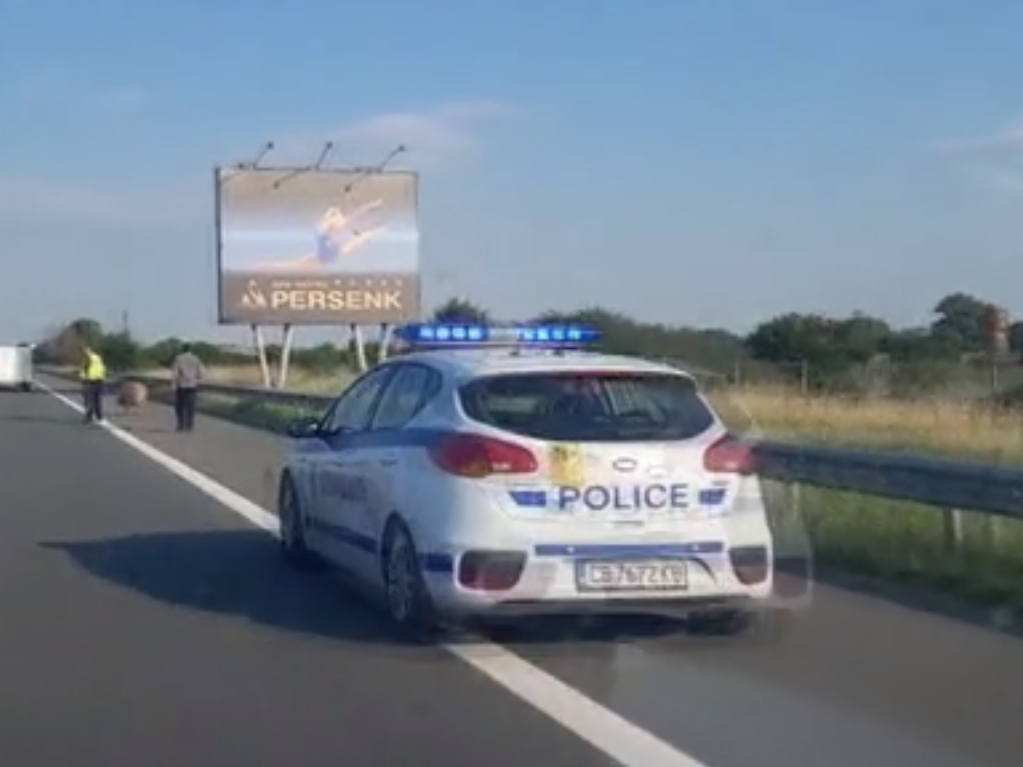 Абсурд: Полицаи ескортираха необичаен "престъпник" на АМ Тракия СНИМКА