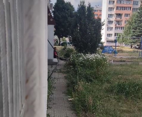 Ще теглите псувня като видите какво прави мъж край катерушки в Самоков