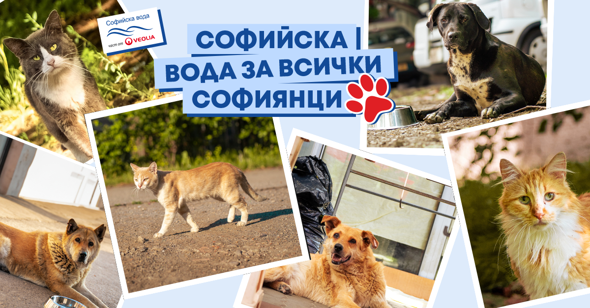 Вода без опаковка и за тези, които не могат да си налеят сами 