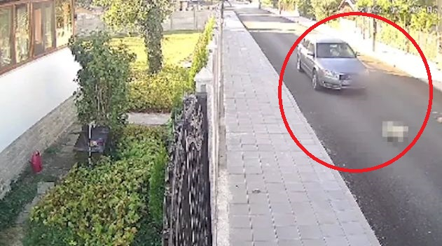 Жестоко убийство потресе Криводол СНИМКА 18+