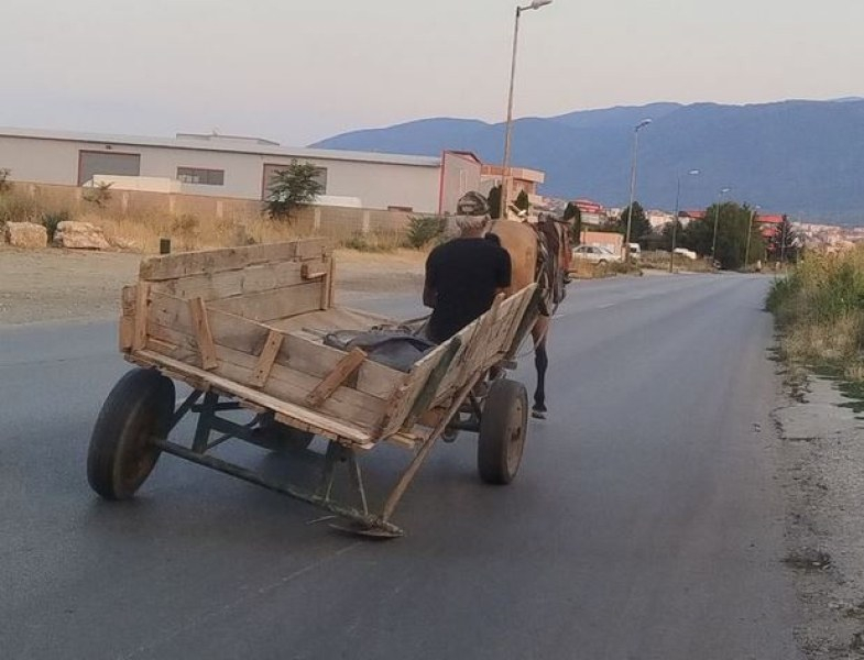 Необичайна гледка край Асеновград подпали мрежата