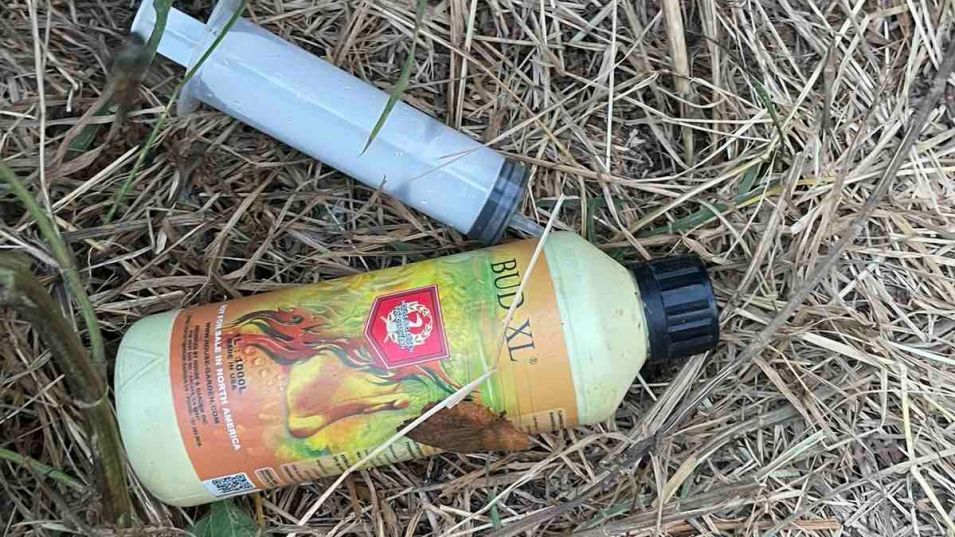Отива ли си картофът в миналото: Ето с какво откриха цяла нива в Самоковско СНИМКИ