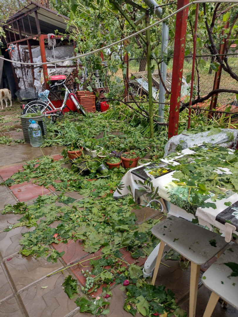 Тази СНИМКА на тъжно куче след бомбардировката в Дулово скъса сърцата на българите