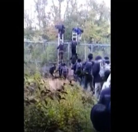 Цяла армия щурмува границата ни, страшно е! 