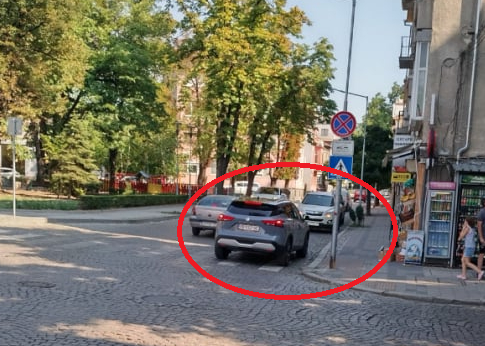 Нагъл джигит вбеси пловдивчанин с безумното си паркиране СНИМКА