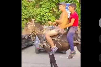 Това може да се види само в "Люлин": Хората гледат и не вярват на очите си ВИДЕО