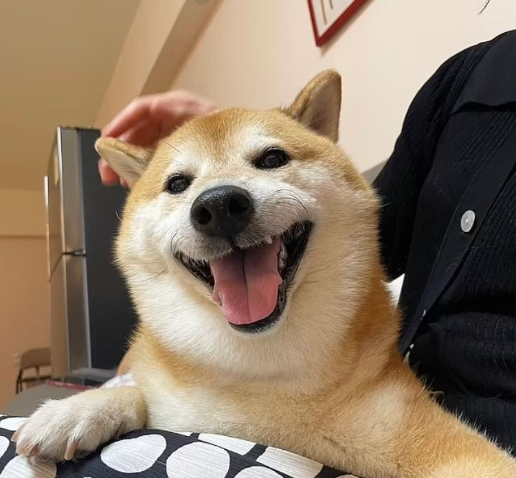 Почина Чиймс