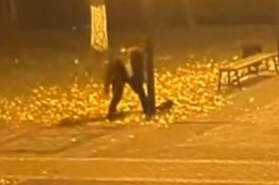 Подивял сириец спретна невиждан погром в София, минувачите - в шок 