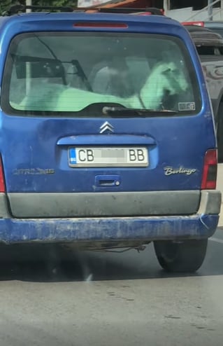 Всички са в шок! Какво се вози в този автомобил СНИМКИ