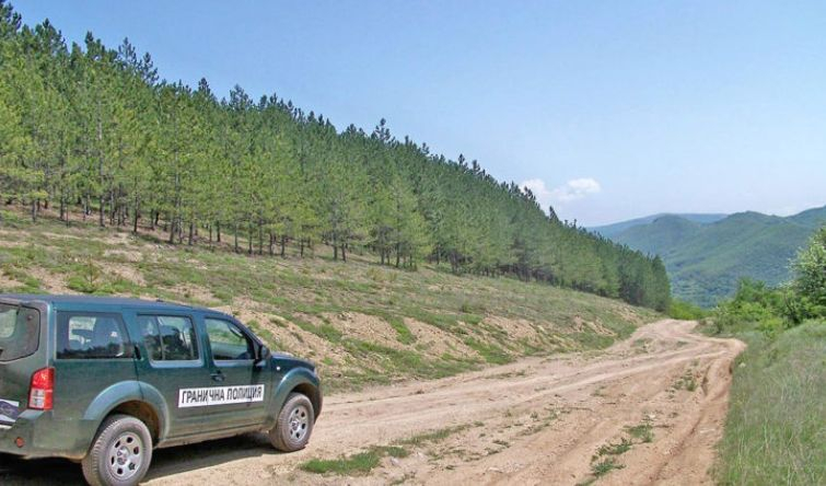 Зловеща находка в гората край тополовградско село 