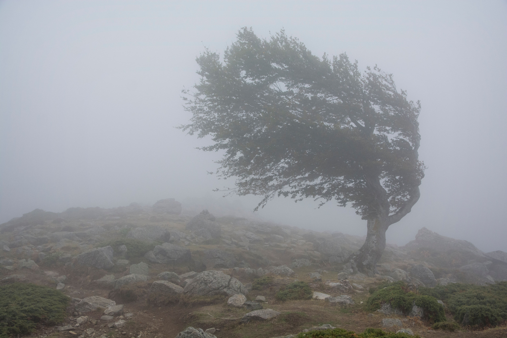 Meteo Balkans алармира: Ледени циклони нахлуват в България