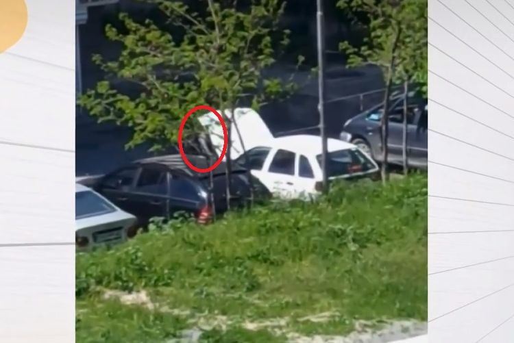 Жена от Сливен живее в ужас, бившият ѝ заплашва да я реже на парчета ВИДЕО