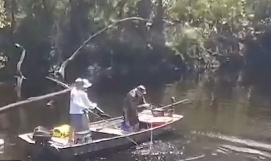 Заловиха и убиха невиждан звяр в блатата на Флорида ВИДЕО 