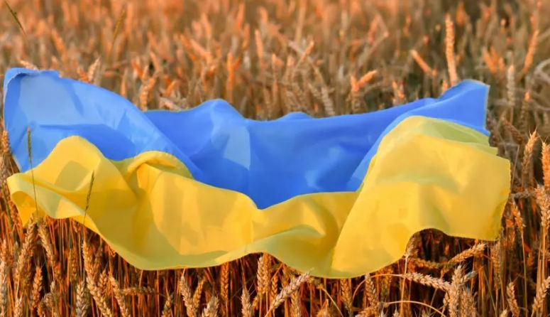 Икономистът Сиркаров с мрачна прогноза, до какво ще доведе битката покрай украинското зърно 