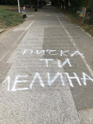 Прекалиха: Вулгарни графити "цъфнаха" на култово място в Благоевград СНИМКИ 18+