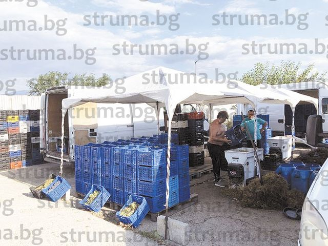 Голяма мъка по тържищата в Пиринско, в разгара на сезона такова нещо не е ставало 