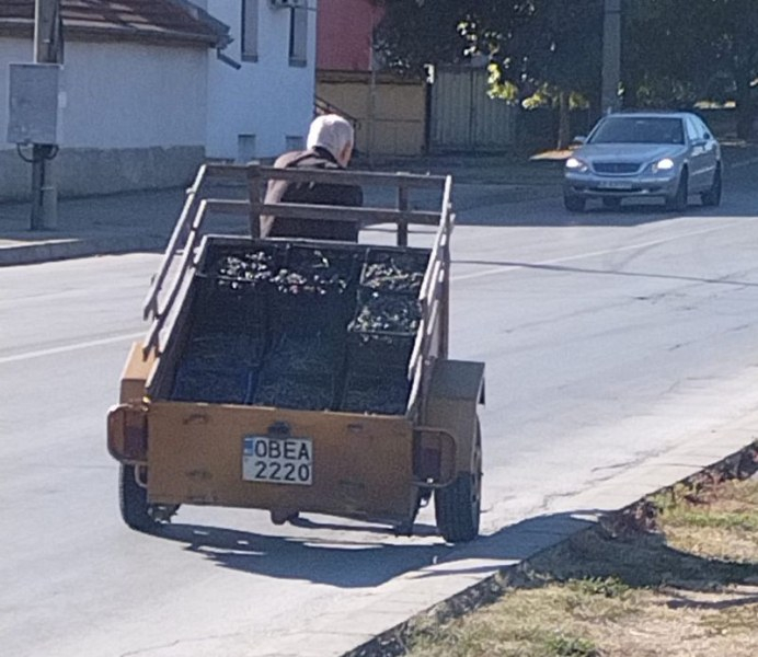ВИДЕО с беловлас ловчанлия потресе мрежата 