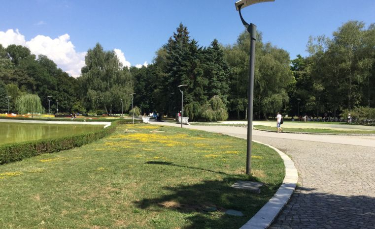 Столичанин събра погледите в Южния парк ВИДЕО