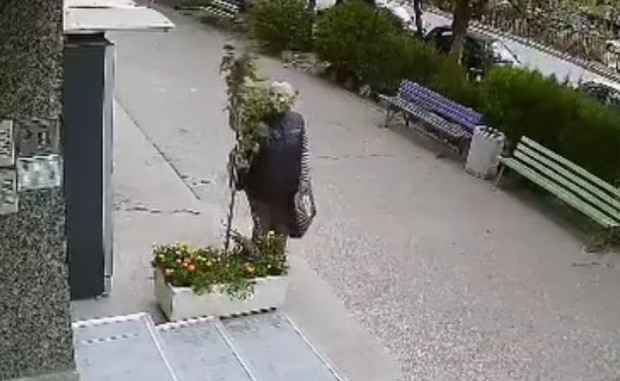 Възрастна пловдивчанка стана за резил, какви ги свърши на улицата ВИДЕО 