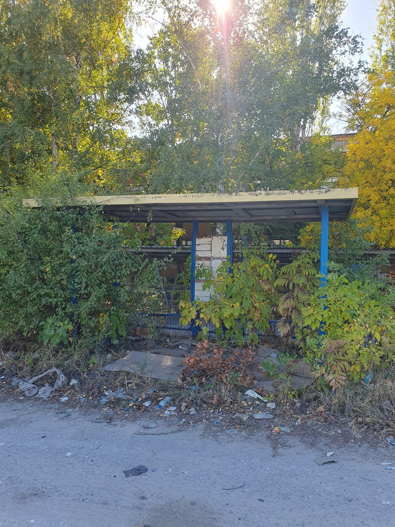Жунгла, змиярник, а някъде в гъсталака се мярка... спирка! СНИМКИ