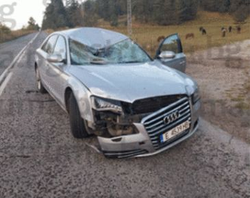 Неописуем ужас застигна селски кмет на път за Юндола СНИМКИ 