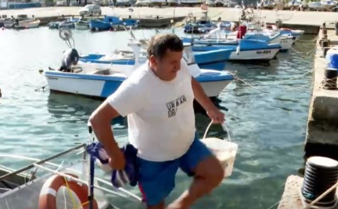 Разочаровани рибари обясниха какво изгони рибата от Черно море