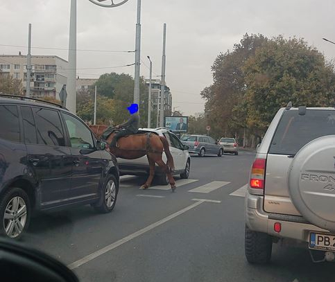 Пловдив заприлича на Дивия запад и тези СНИМКИ с дете и кон го доказват