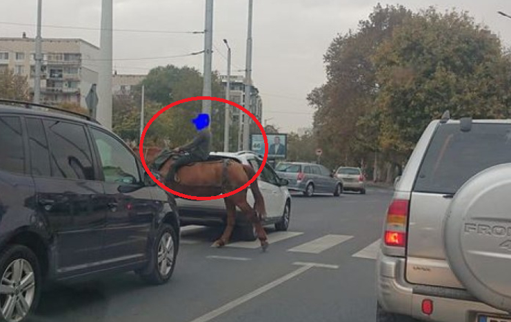 Пловдив заприлича на Дивия запад и тези СНИМКИ с дете и кон го доказват