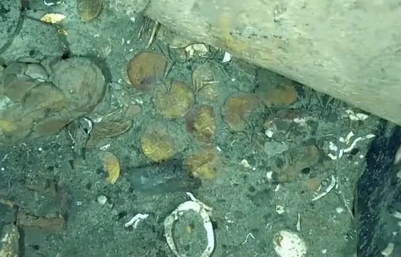 Около 20 милиарда долара лежат на дъното на Карибско море, скоро ще ги извадят СНИМКИ