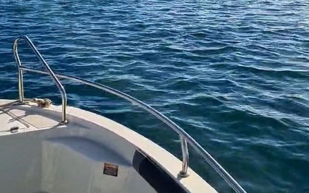 Мъж засне нещо уникално в морето край Тюленово ВИДЕО 