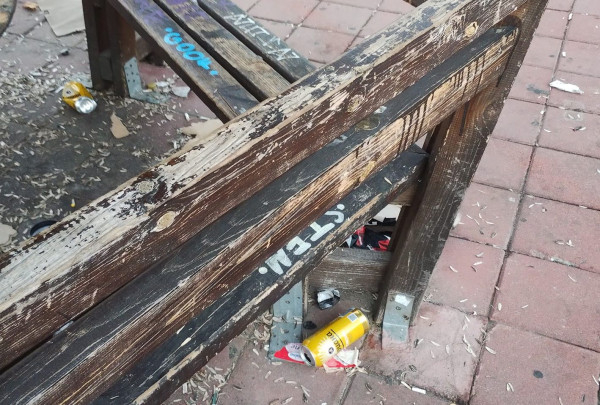 Пловдивчанка погледна беседката в новия парк и избухна: И за Господ да гласувате...
