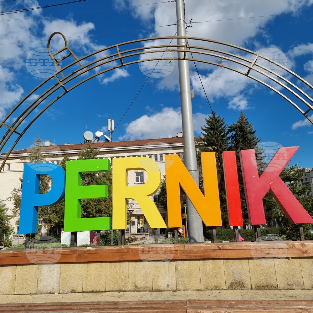 Перничанка в шок: Новата ми съседка изяде котка пред очите ми! СНИМКА