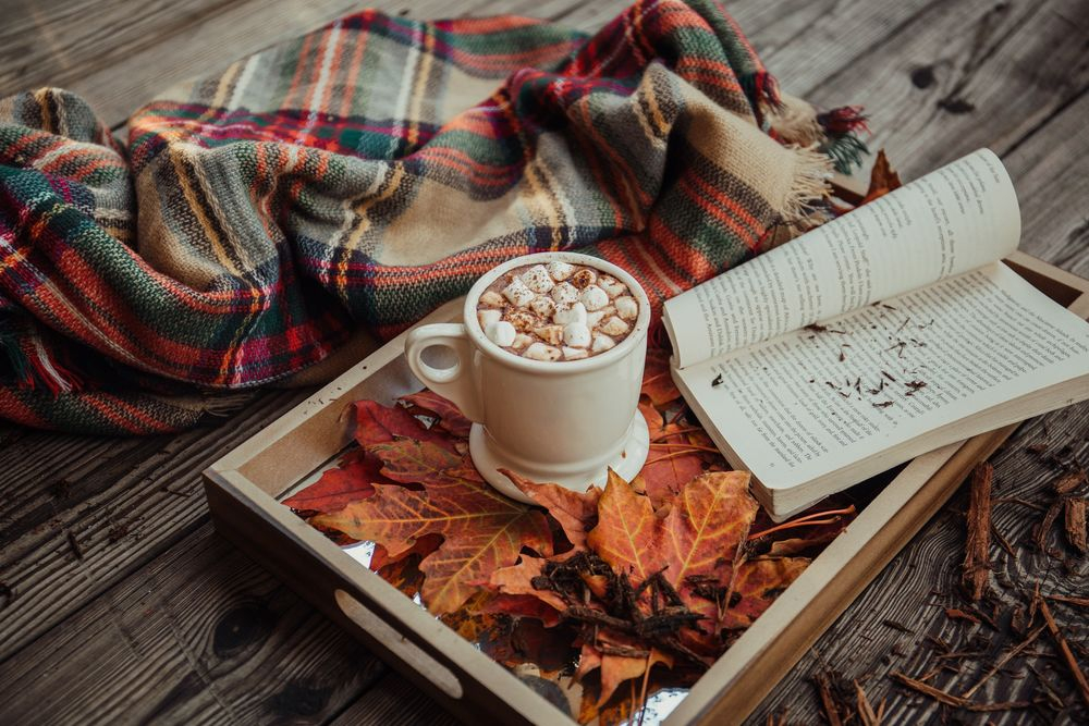 Тази новина секна четенето на книги при жените