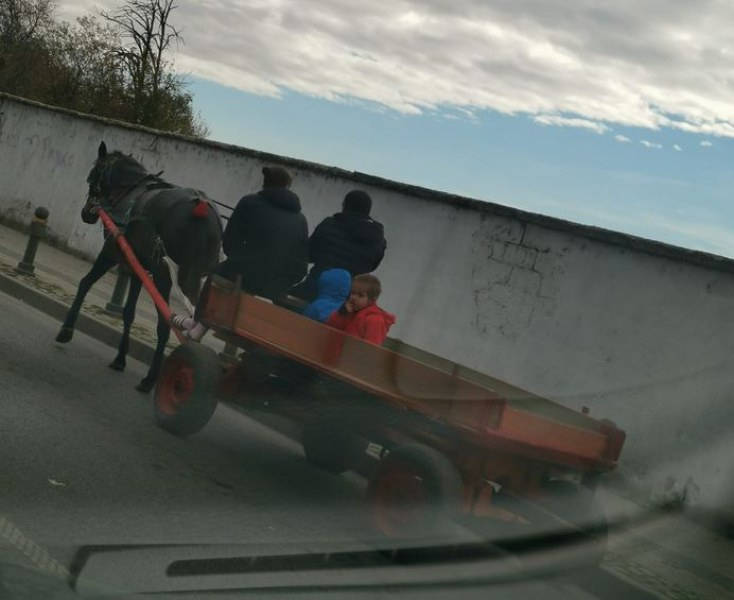 Пловдивчани гледат и не вярват на очите си на това грубо нарушение на законите СНИМКА