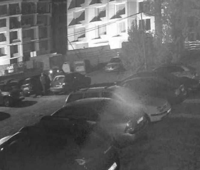 Столичанка спря джипа си в "Дружба" и изпищя на умряло СНИМКИ