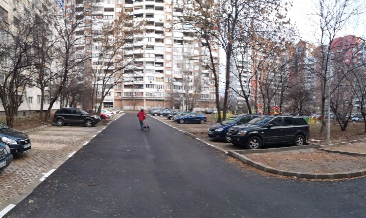 Столичанка спря джипа си в "Дружба" и изпищя на умряло СНИМКИ