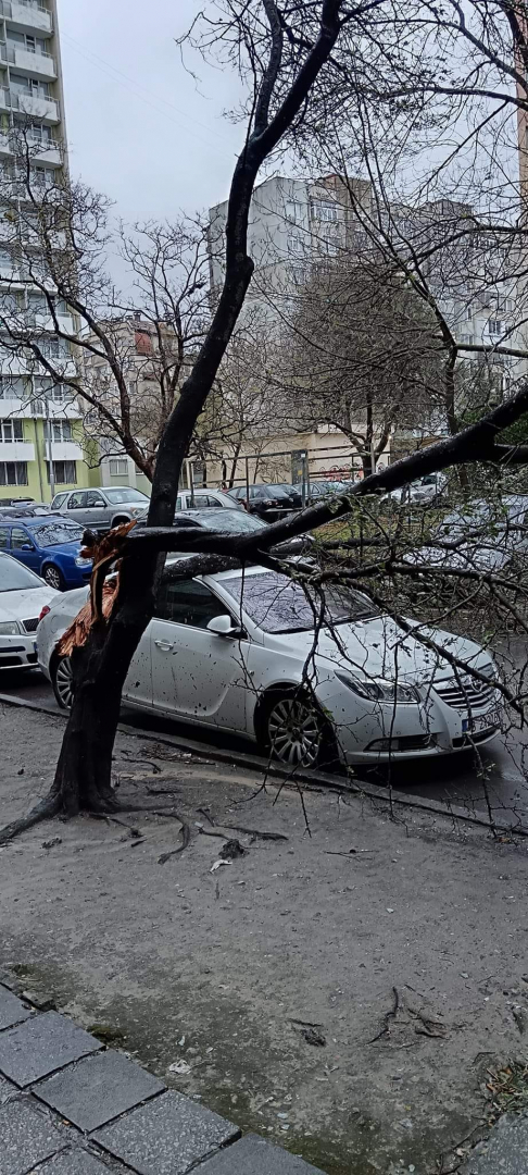 Извънредно от Варна! СНИМКИ показват как изглежда градът след апокалипсиса, кметът обяви... ВИДЕО