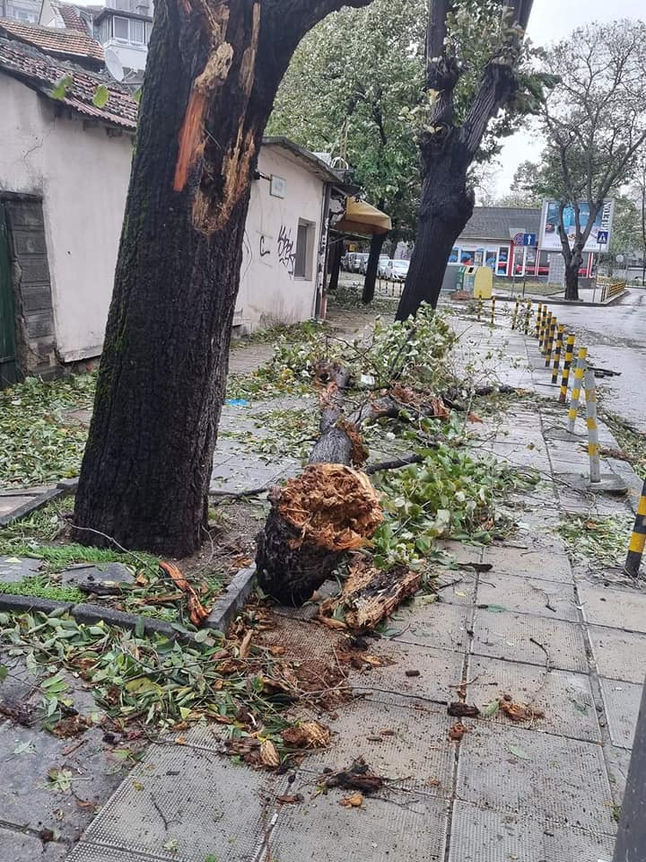 Извънредно от Варна! СНИМКИ показват как изглежда градът след апокалипсиса, кметът обяви... ВИДЕО