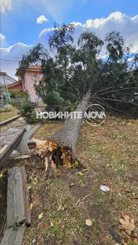 Буря вилня и в Сопот: Ето го резултата СНИМКИ