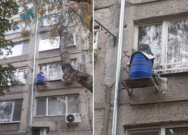 Уникално изобретение за кисело зеле в Пазарджик взриви мрежата
