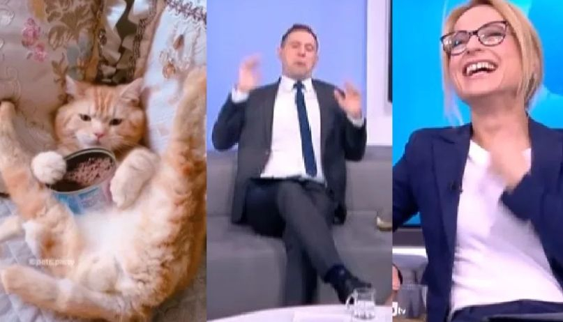 Новинарка на bTV изчерви колегите си в ефир, Натали Трифонова пищи от срам