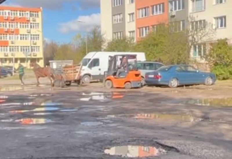 Невиждано: Какво тегли този кон в столичния "Люлин" ВИДЕО
