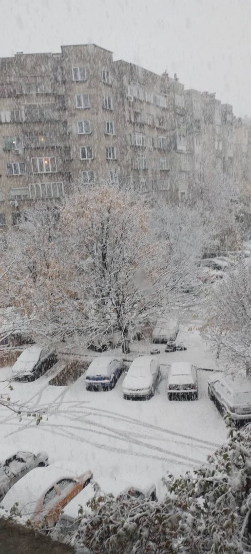 Глобата е 700 лв.! Вижте кой трябва да чисти пред блока 
