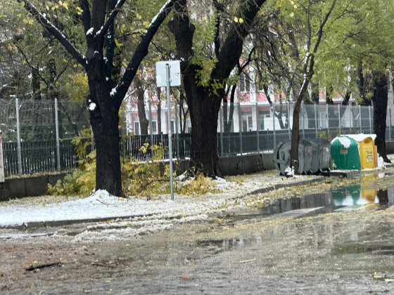 Зловещо: Пловдивчани се вцепениха от ужасяваща гледка в снега в кв. "Кючук Париж" СНИМКИ
