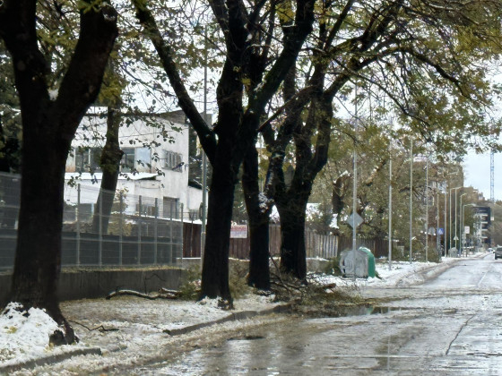 Зловещо: Пловдивчани се вцепениха от ужасяваща гледка в снега в кв. "Кючук Париж" СНИМКИ