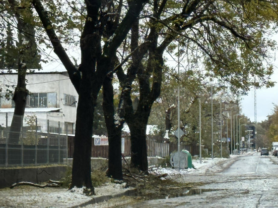 Зловещо: Пловдивчани се вцепениха от ужасяваща гледка в снега в кв. "Кючук Париж" СНИМКИ