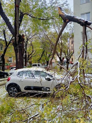 Зловещо: Пловдивчани се вцепениха от ужасяваща гледка в снега в кв. "Кючук Париж" СНИМКИ
