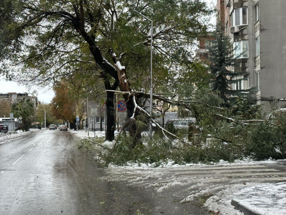 Зловещо: Пловдивчани се вцепениха от ужасяваща гледка в снега в кв. "Кючук Париж" СНИМКИ