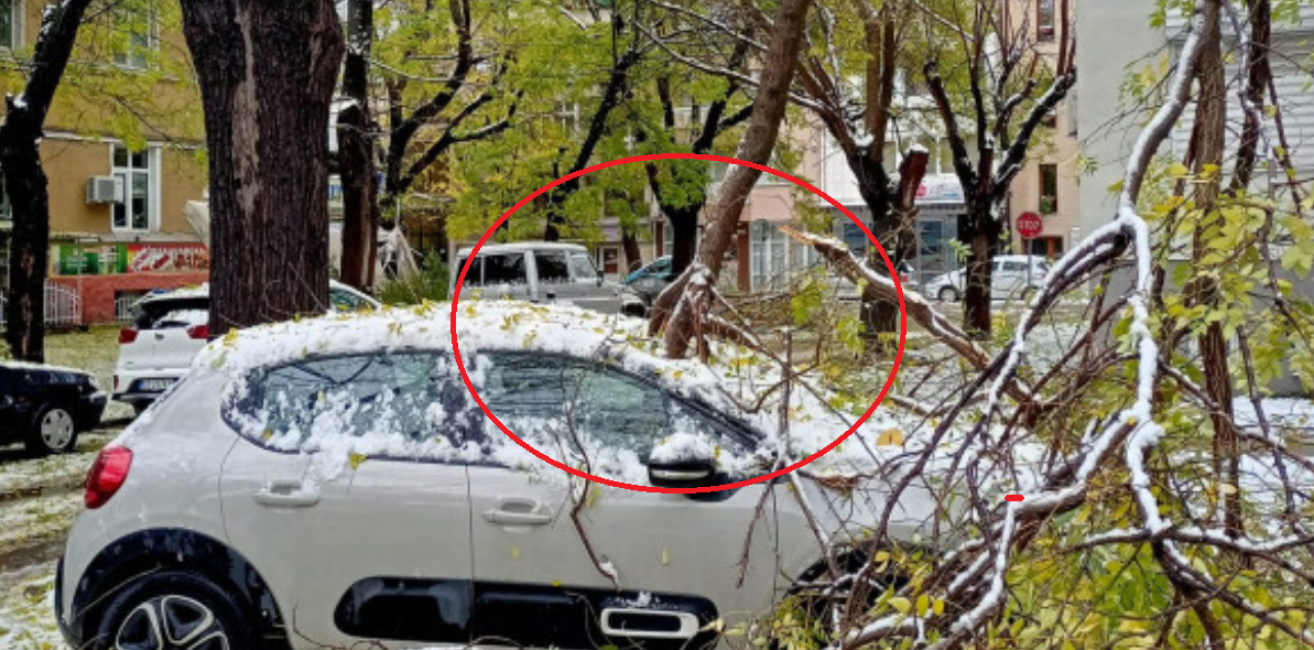 Зловещо: Пловдивчани се вцепениха от ужасяваща гледка в снега в кв. "Кючук Париж" СНИМКИ